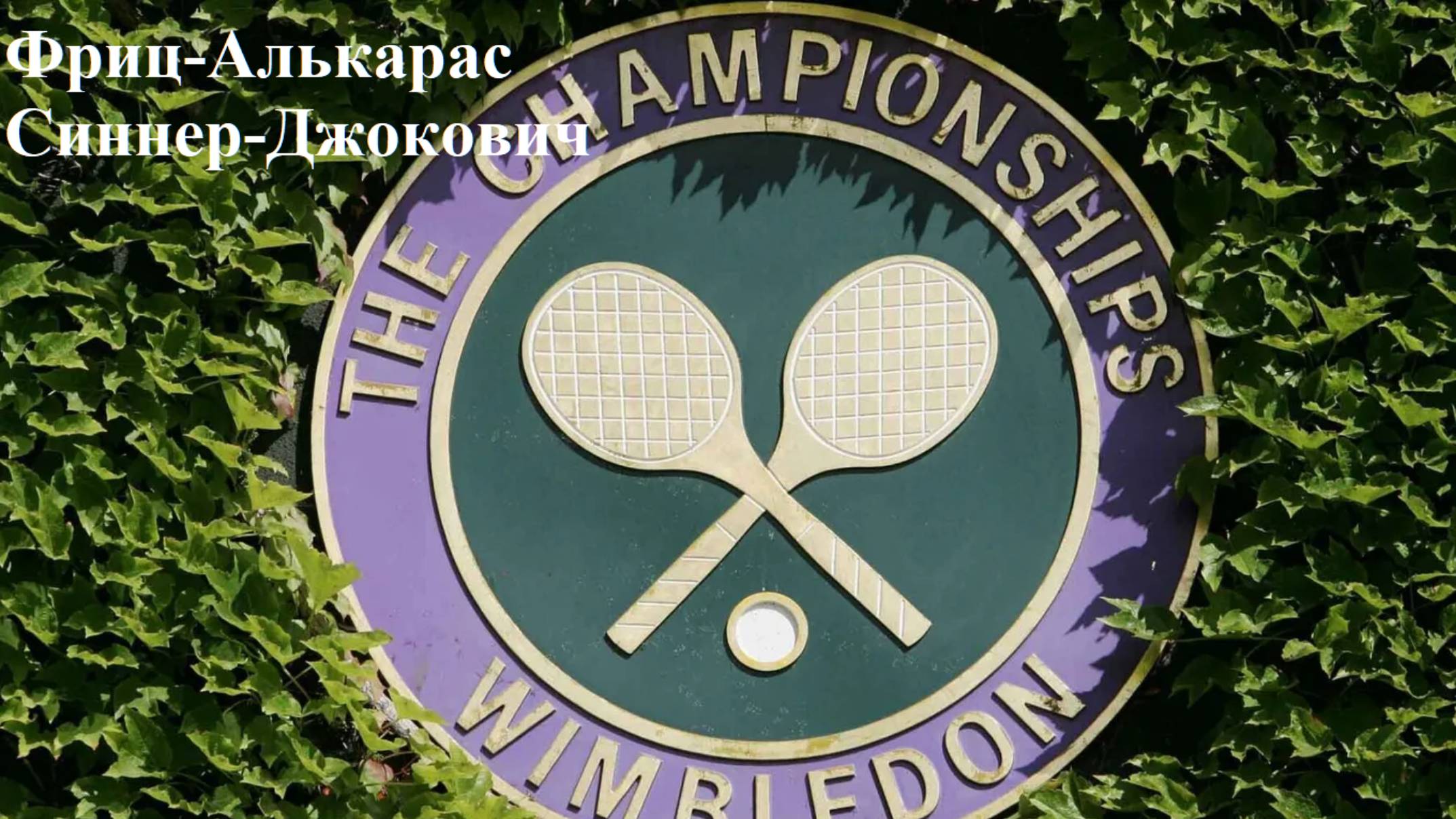 Уимблдон 1/2 финала Фриц-Алькарас, Синнер-Джокович прогнозы на теннис 11 июля 2025