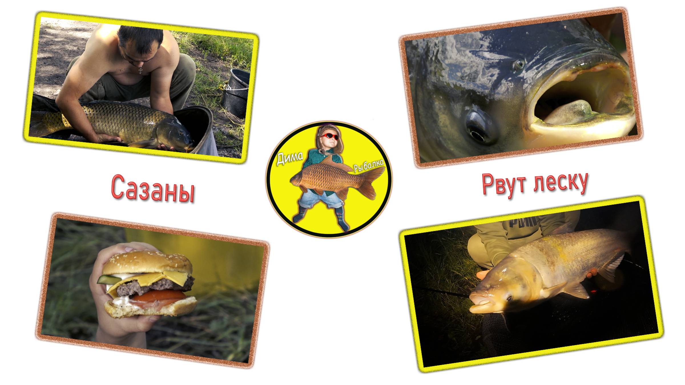 Охота за безумно мощным сазаном