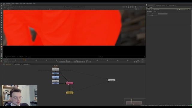 Advanced Removals   01. CopyCat & MODNet Speed Up Paint Prep