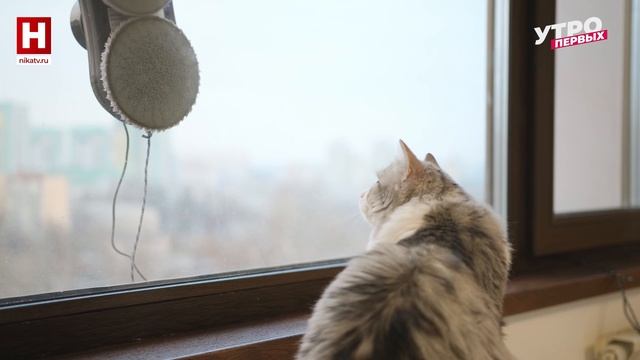 Мытье окон | ЧИСТОТА В УДОВОЛЬСТВИЕ