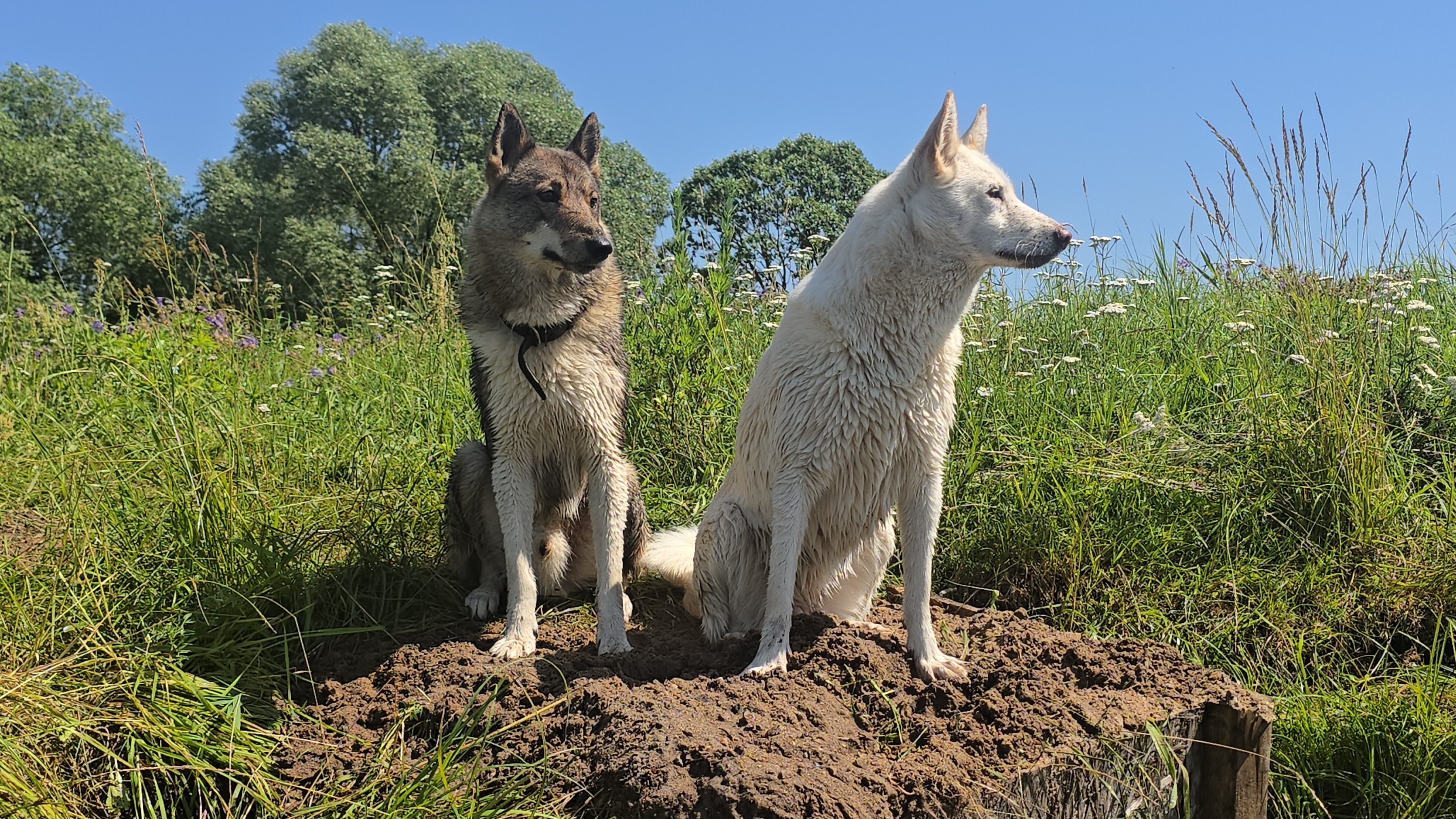 Новый трамплин