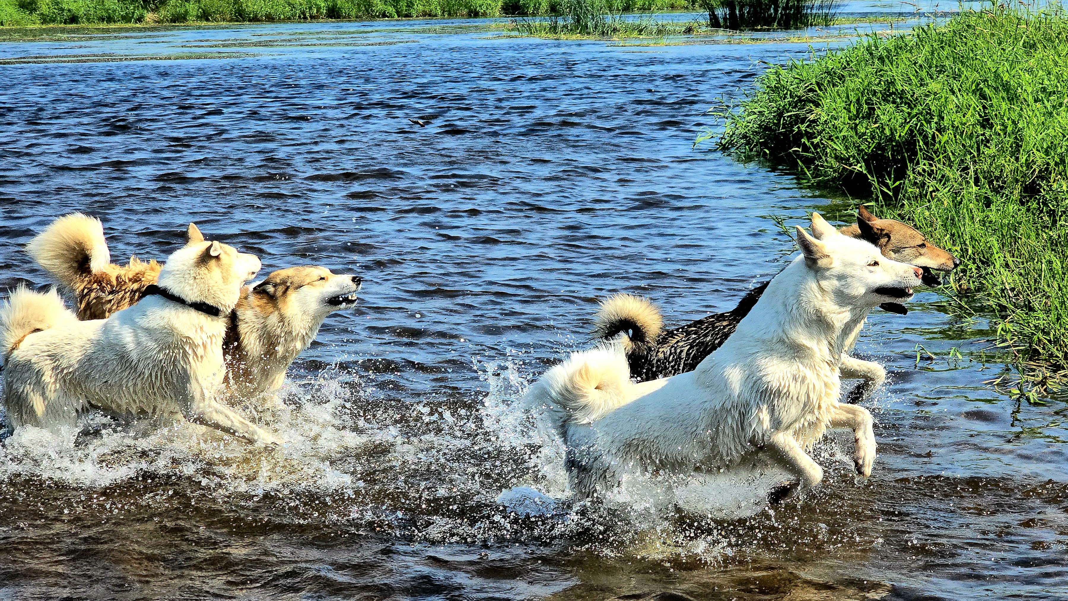 На другом месте