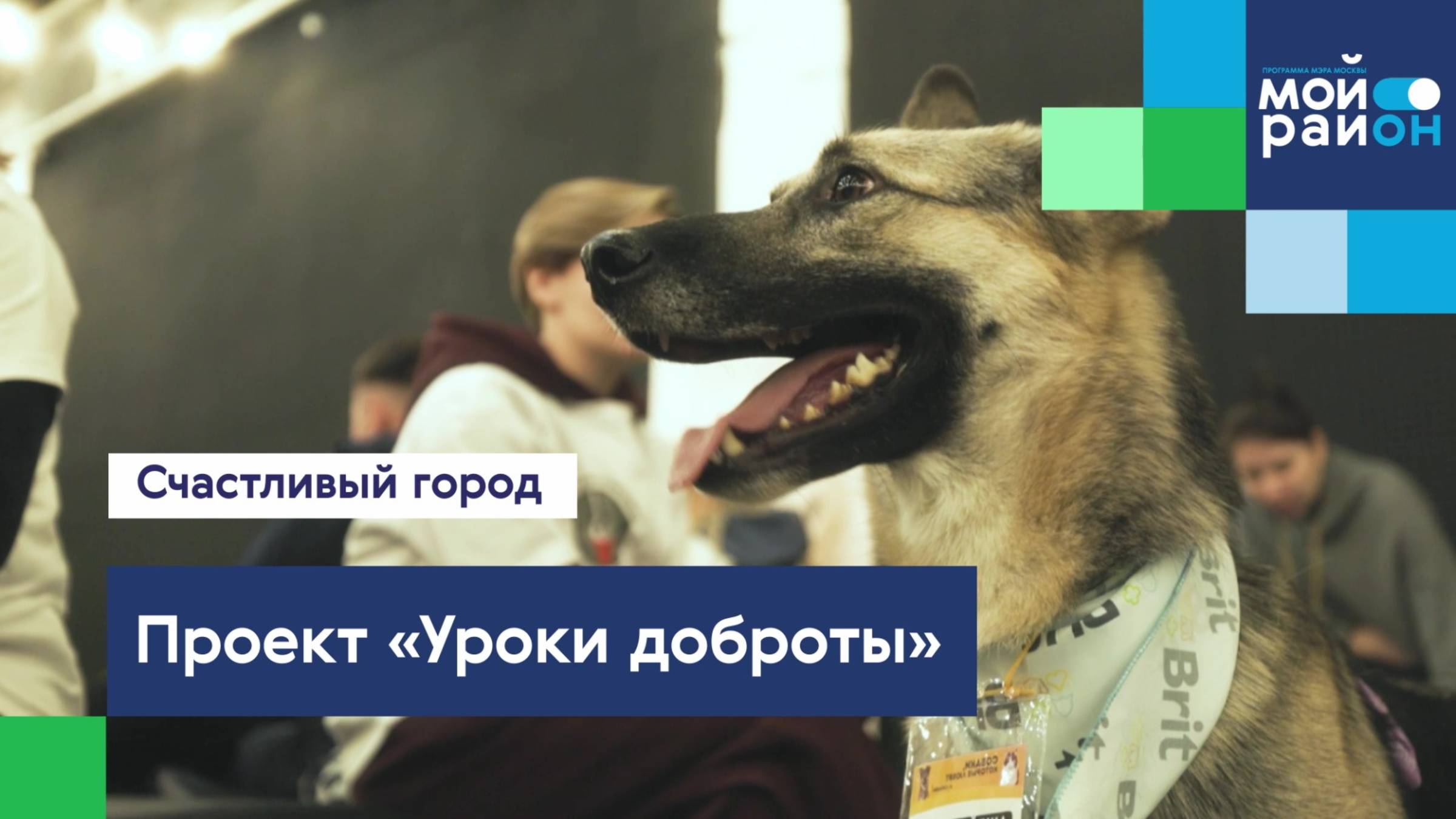 Проекты, которые меняют жизнь: проект «Уроки доброты»