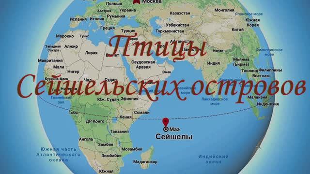 2024 1690 Птицы и птицы Сейшельских островов 
СЕЙШЕЛЫ