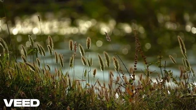 Денизор - Дым.mp4