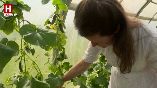 НЕДЕЛЯ | 12 ИЮЛЯ 2025