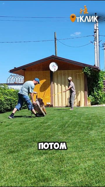 Сначала игрушки... потом ты?