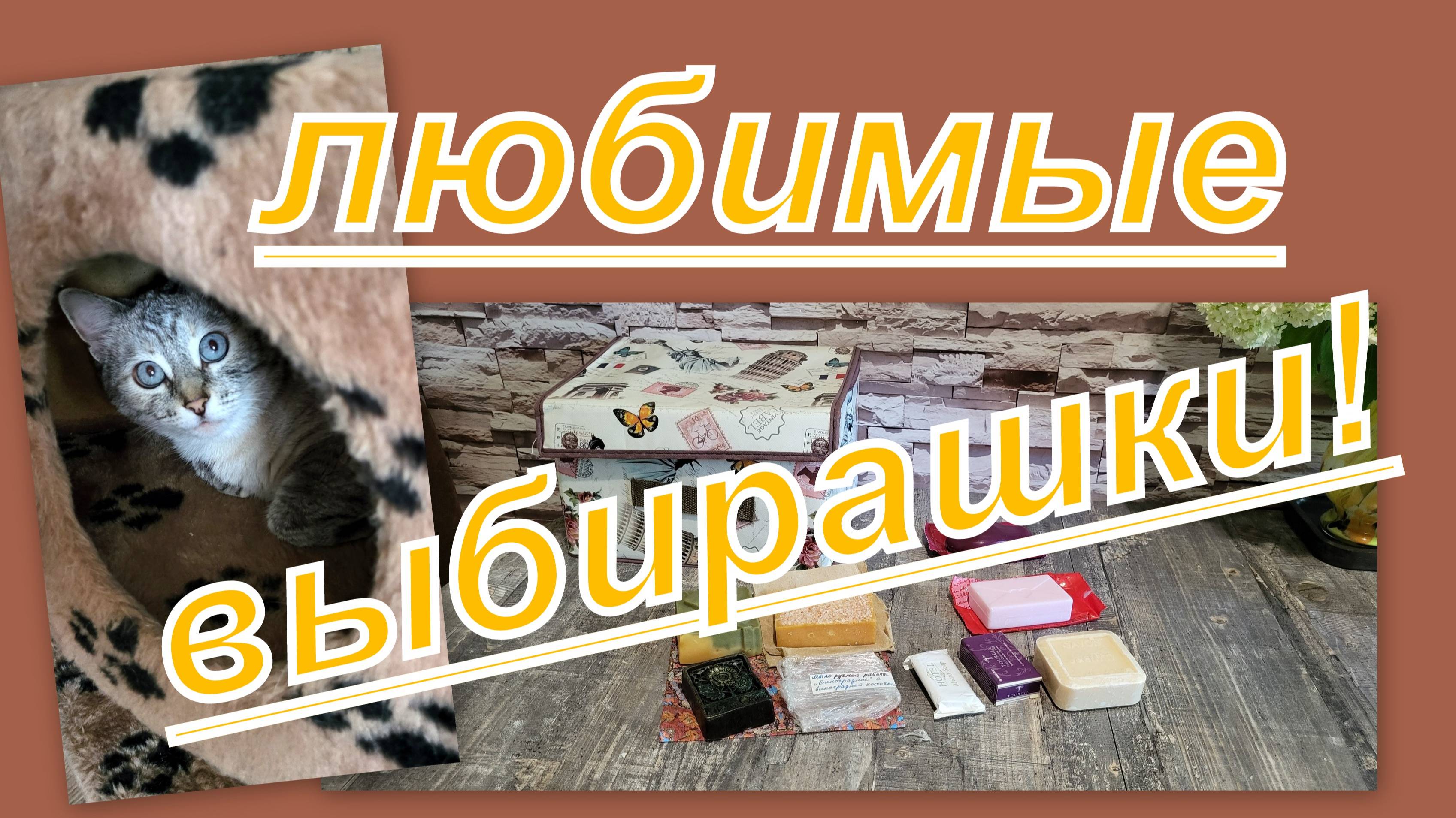 ВЛОГ: ЛЮБИМЫЕ  ВЫБИРАШКИ И ПУШИСТИКИ...