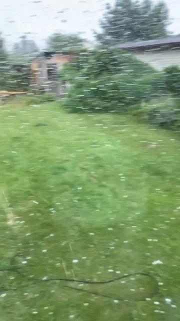 Град в Подмосковье. Аномальное лето.