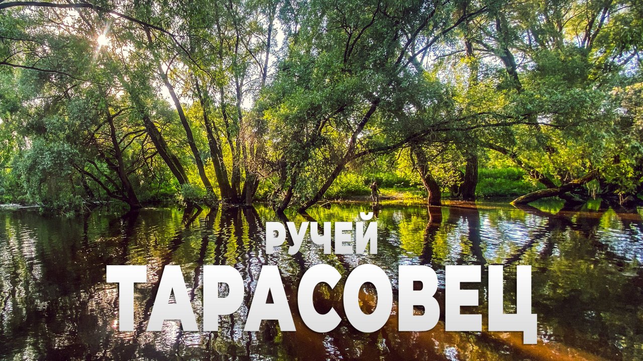 В поисках интересных мест Великого Новгорода. Ручей Тарасовец