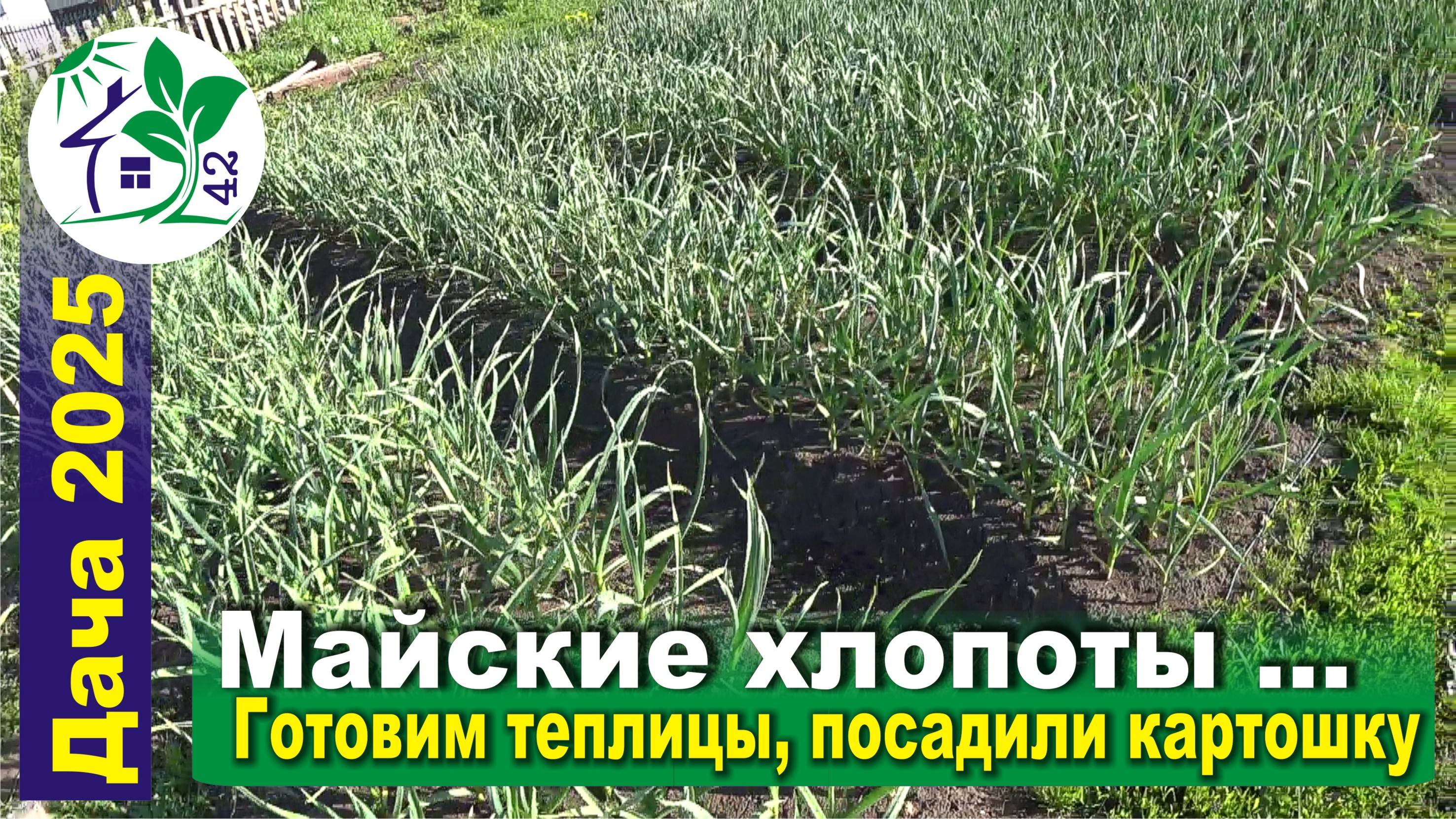 Майские хлопоты. Готовим теплицы, посадили картошку.