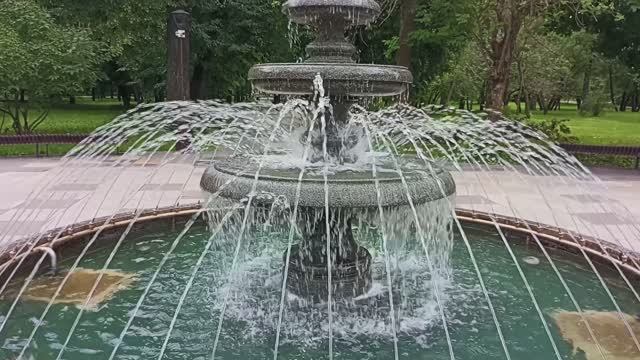 2024 1673 Москва Сад будущего