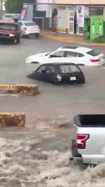 Вы самый жалкий водитель о котором я слышал. Но вы обо мне слышали!