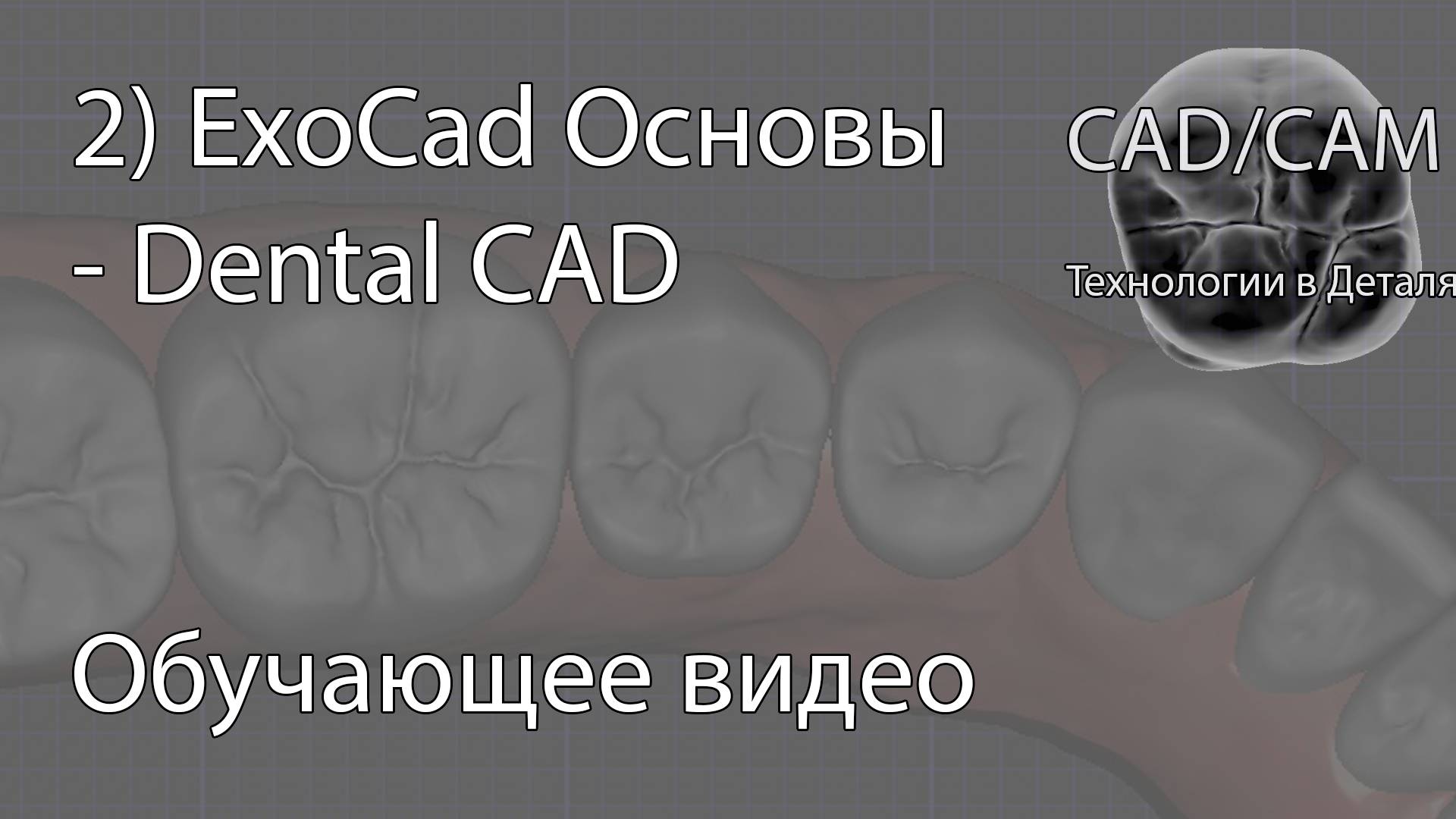 2) ExoCad Основы - Dental CAD