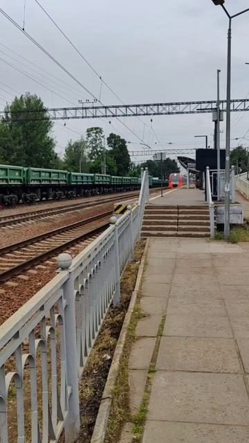 Ласточка на маршруте: Взгляд на платформу Шувалово!