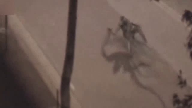 Эти видео невозможно объяснить