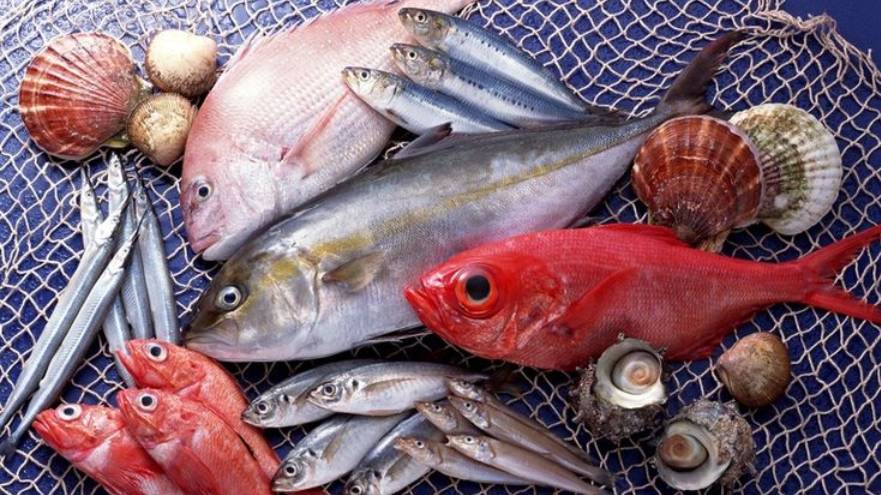 Рыба. Удочка. Рыбалка.