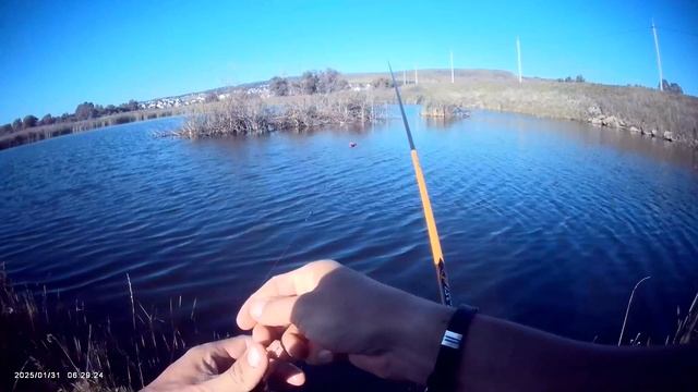 Сегодня вечерком после домашних дел, собрался на рыбалку на Старицу.