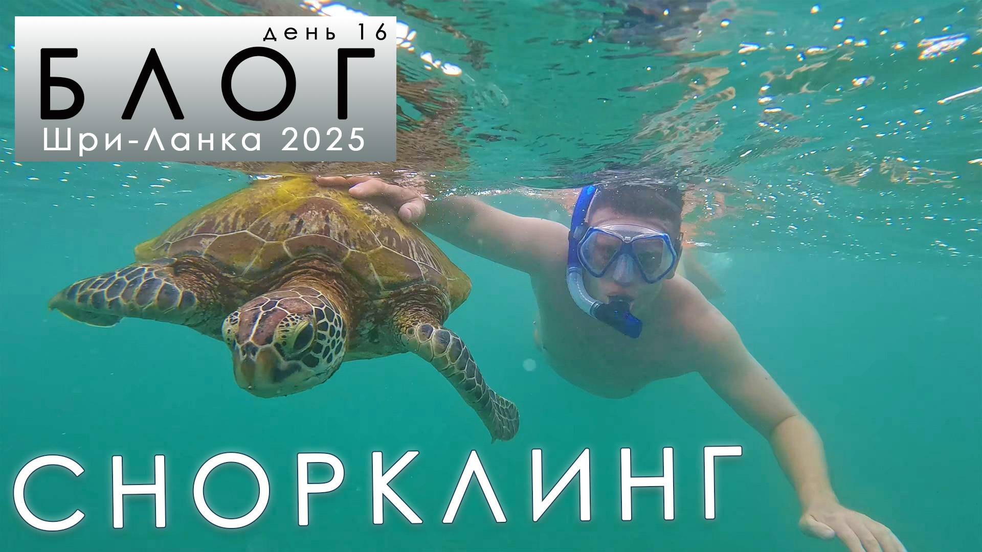 #16 ЛУЧШИЙ снорклинг за всю поездку!