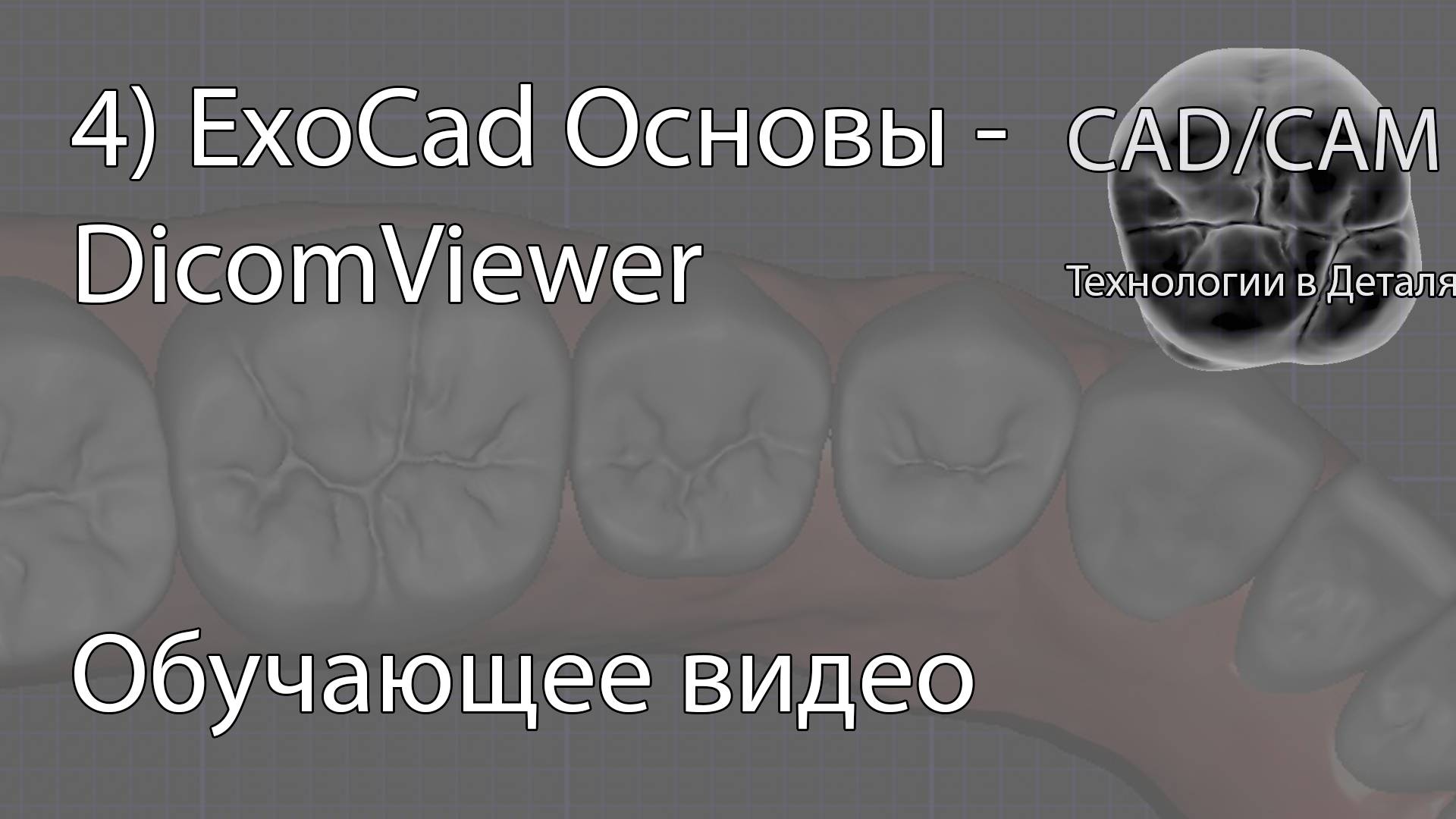 4) ExoCad Основы - DicomViewer