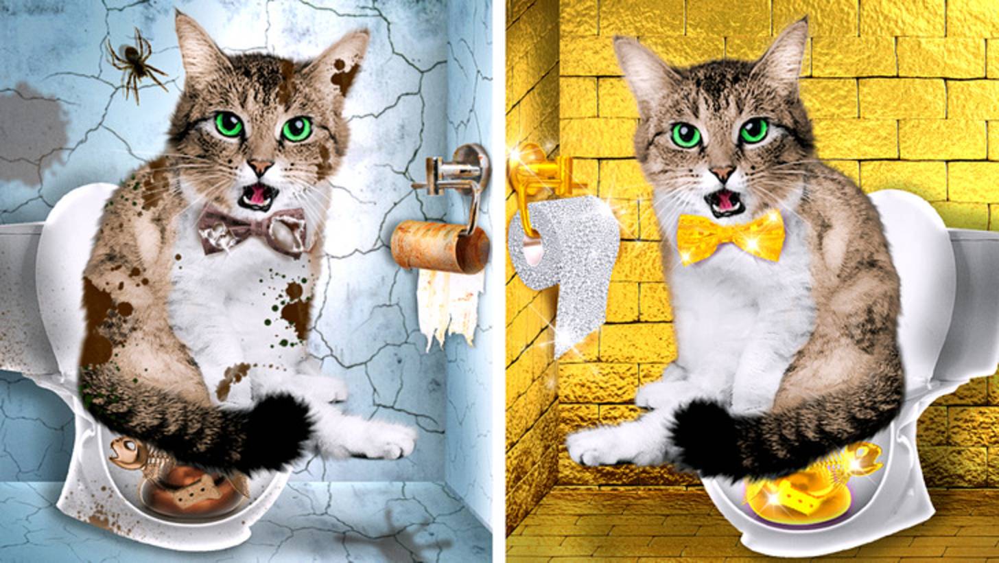 🐱 Бездомному котёнку нужна помощь 😥 лайфхаки для питомцев