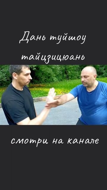 Дань туйшоу тайцзицюань