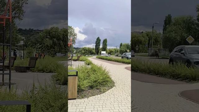 Как уничтожают деревья на микровской набережной Старого Оскола