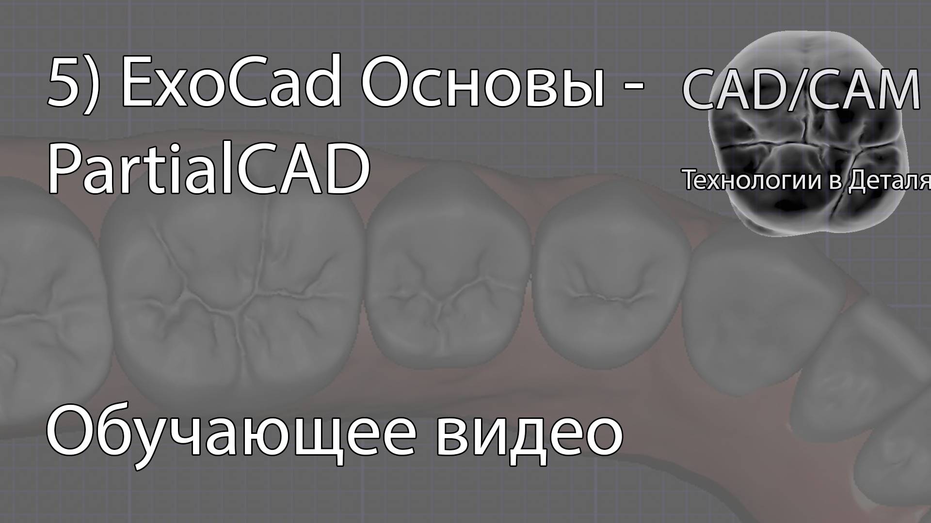 5) ExoCad Основы - PartialCAD