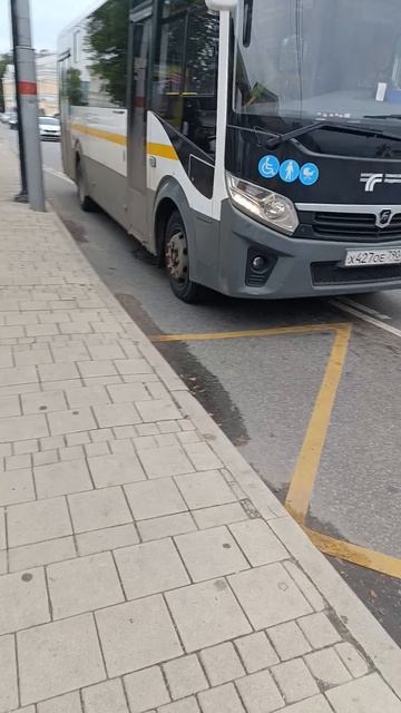 Паз Вектор Некст по маршруту 13