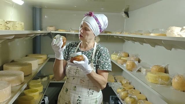 ВЫПУСТИЛИ ГУСЕЙ НА ЛУГА!