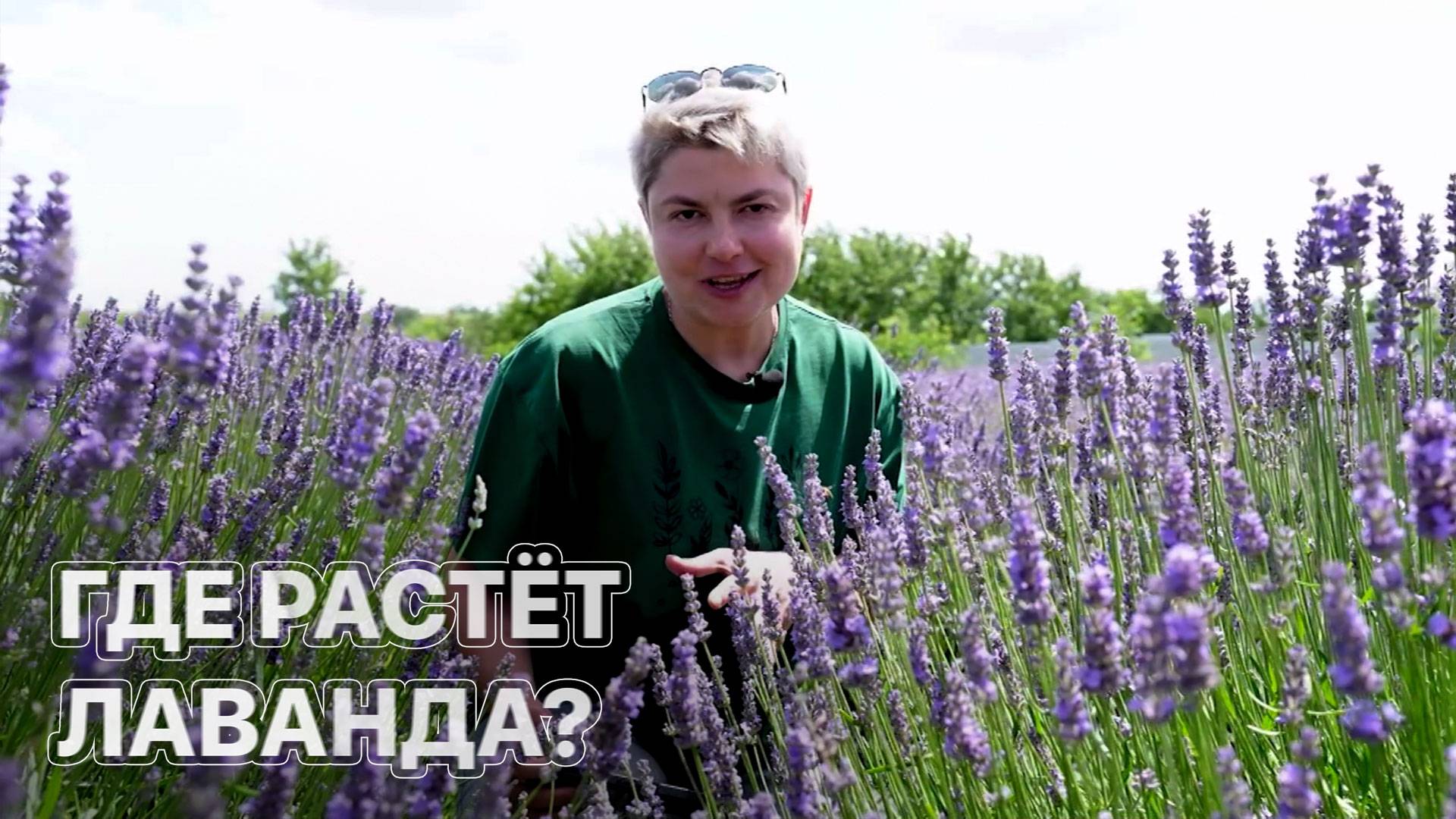 Июль – лучшее время для фотосессии в стиле "Прованс". ЗЕМЛЕХОД