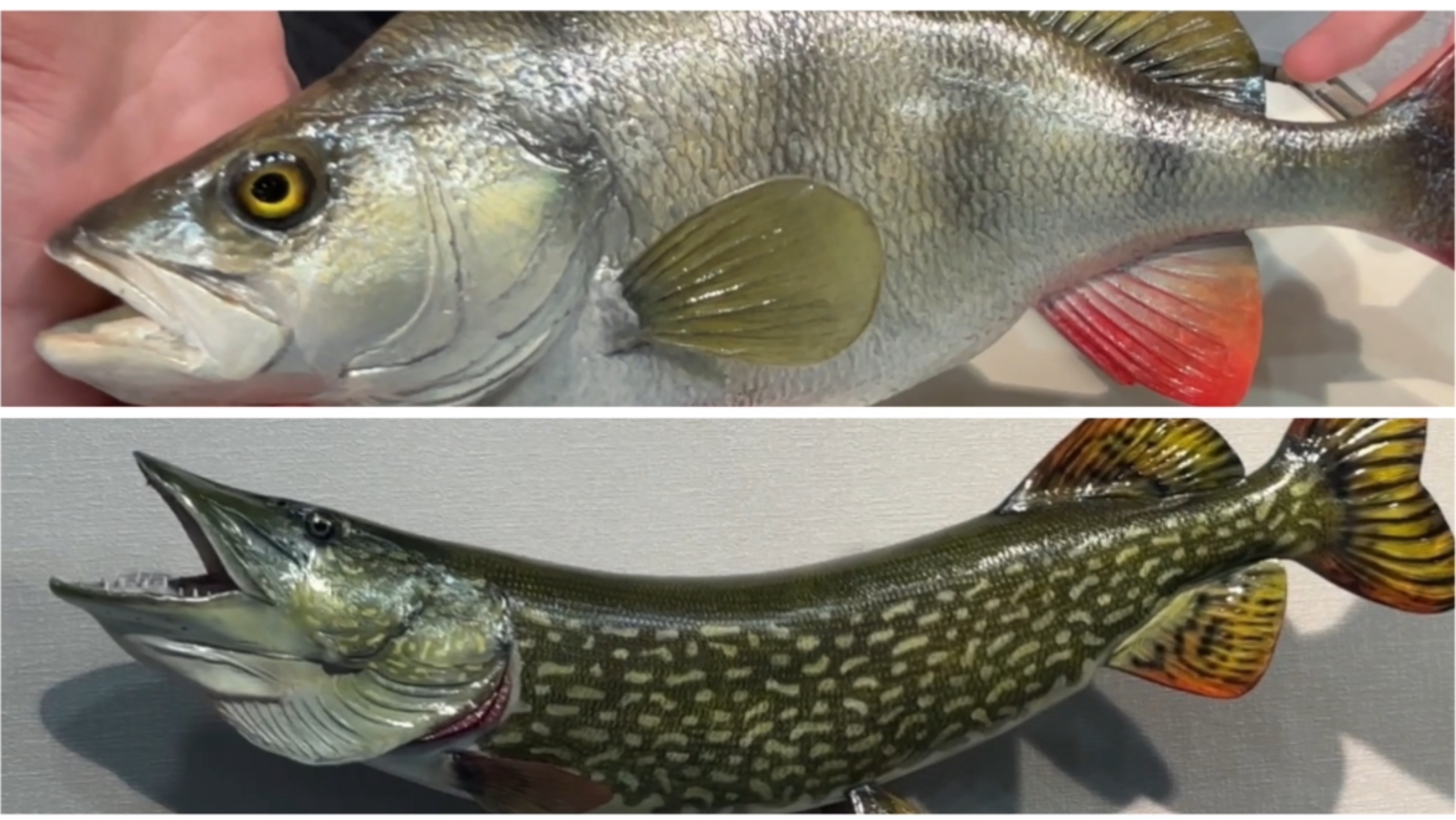 Рыболовные ТАКСИДЕРМИСТЫ 😱 Вы о таком знали???