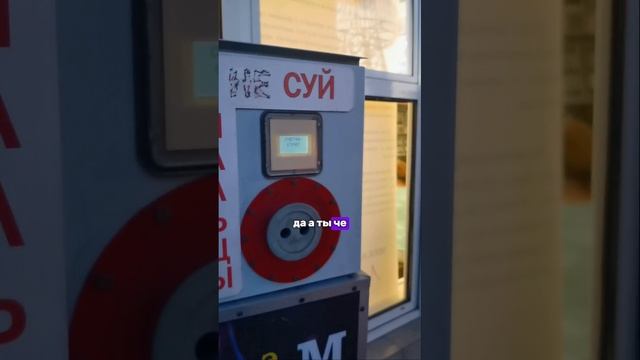 сунь пальцы в розетку. Закрыли детский гештальт в Сочи парке