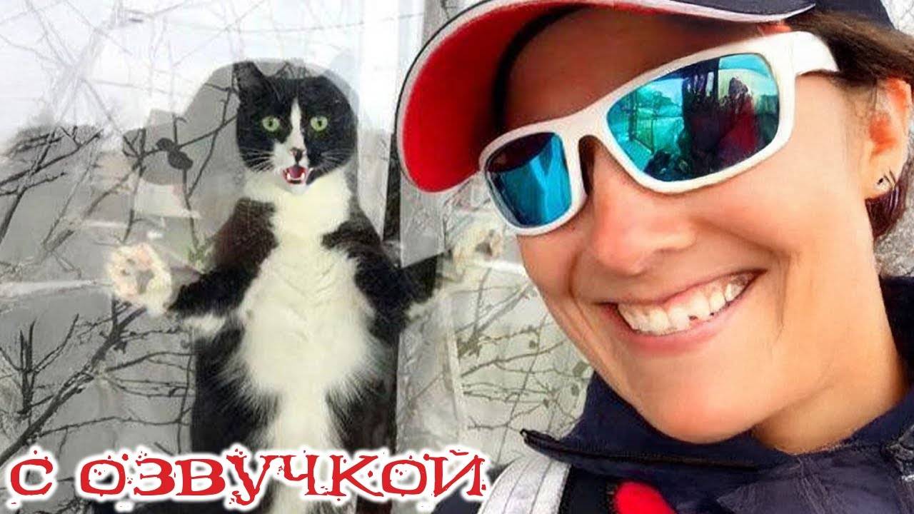 РЖАЧНЫЕ Приколы с котами и кошками! #1 С ОЗВУЧКОЙ!_Смешные_коты!_Самые_смешные_животные!