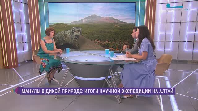 Манулы в дикой природе. Итоги научной экспедиции на Алтай