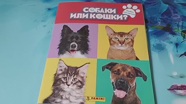 Наклейки Panini Кошечки или собачки. Обзор журнала наклеек