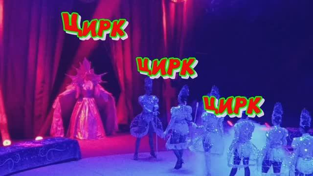 ЦИРК ПРИЕХАЛ К ИРКУТЯНАМ (гимнасты, попугаи, тигры и даже лев!) 1000052334.mp4