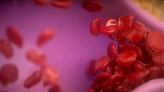 Телекабинет врача 04.07.2025