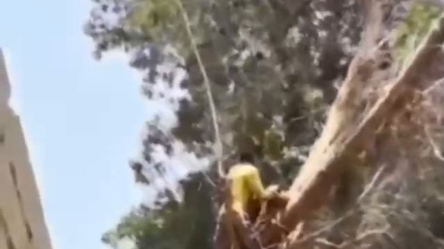 Шагнул в пустошь с конца тропы и теперь он видит картошку снизу