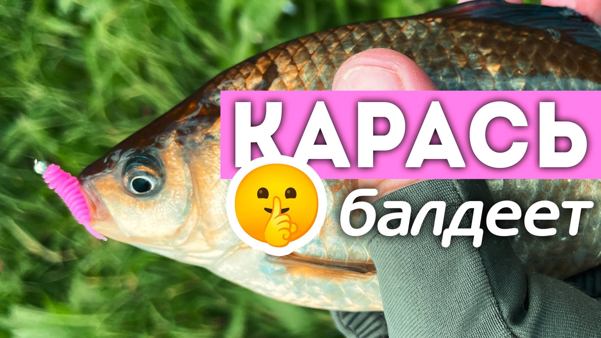 🔥Почему карась КЛЮЁТ на розовое? Cейчас всё покажу!=) #мормышинг #стритфишинг