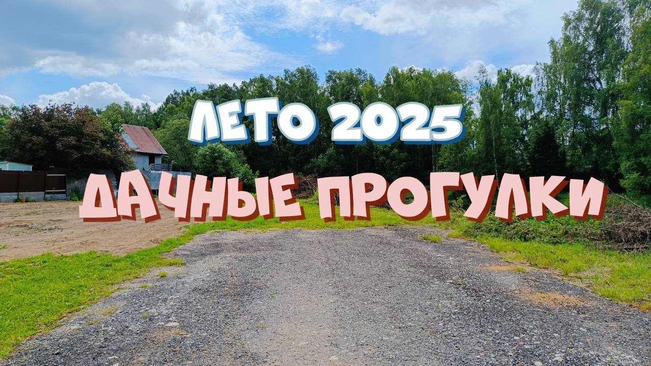 Лето 2025: прогулки на даче