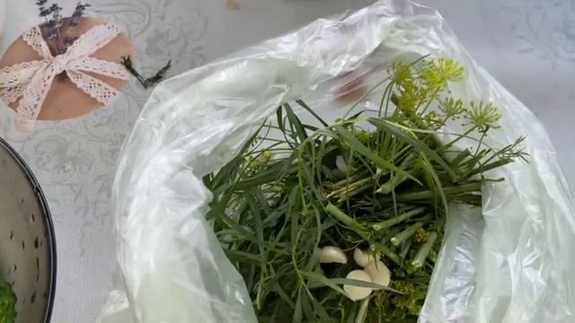 Малосольные огурчики быстро, легко и просто