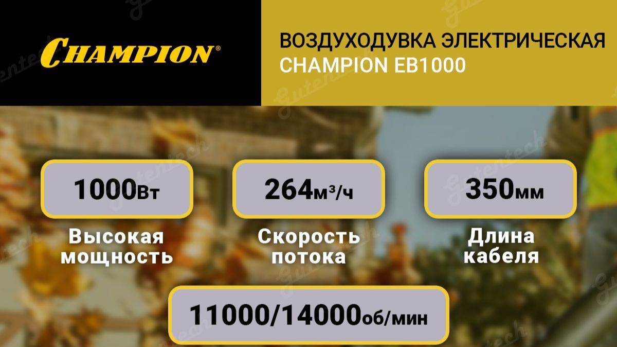Воздуходувка электрическая ручная EB 1000 CHAMPION.Обзор и тест драйв.