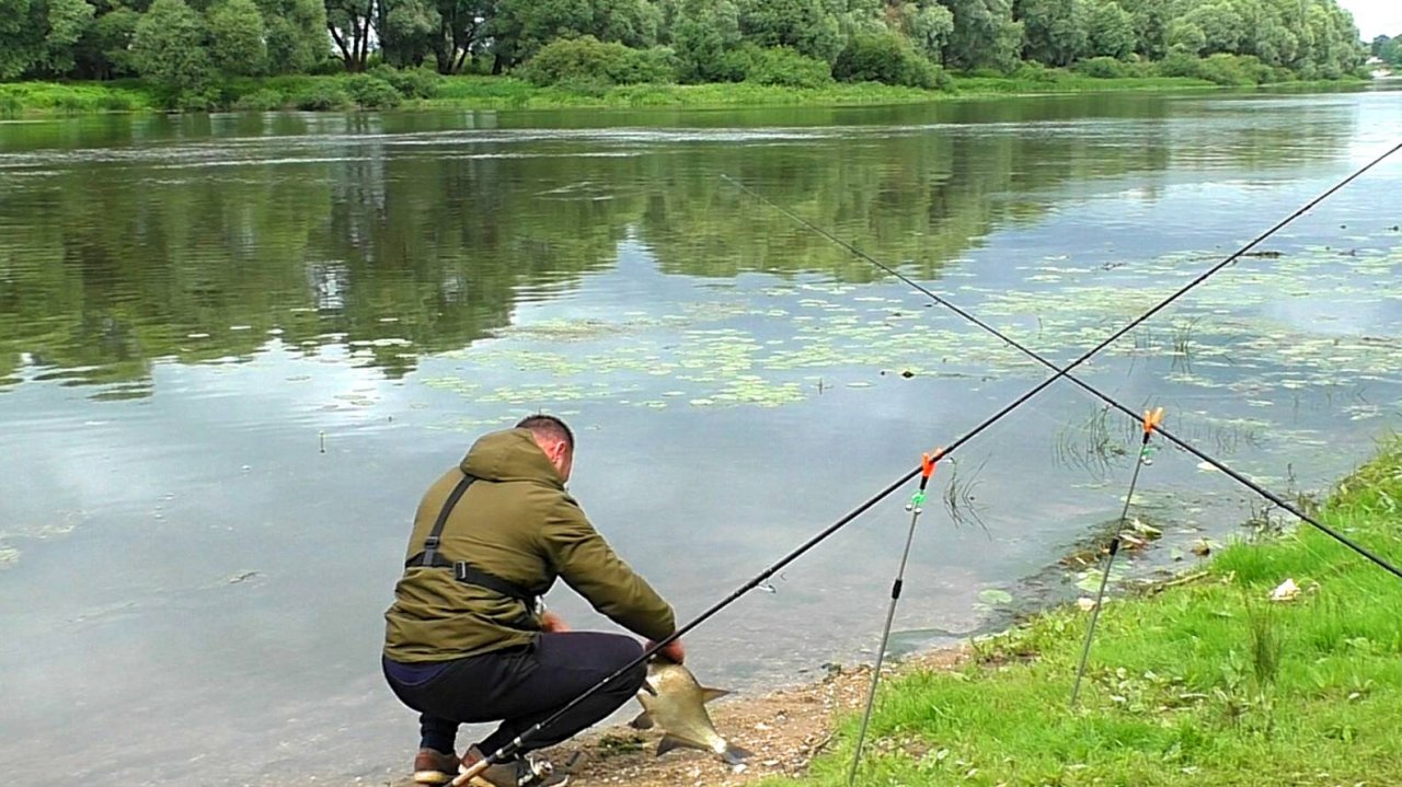 И такой КЛЁВ бывает! Рыбалка на ОКЕ! Рыбалка на донки(фидер)!