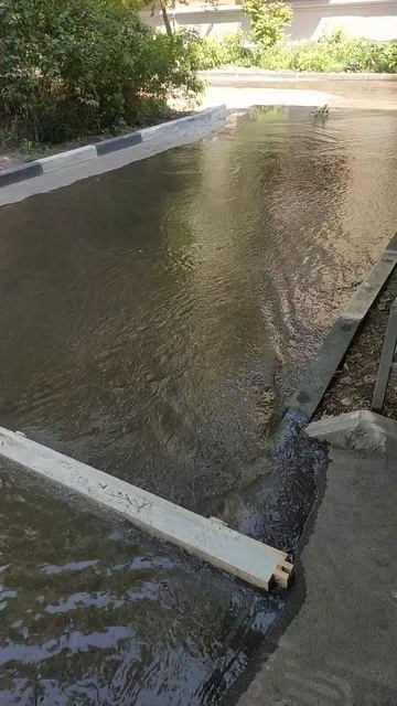 Это САРАТОВ🔥