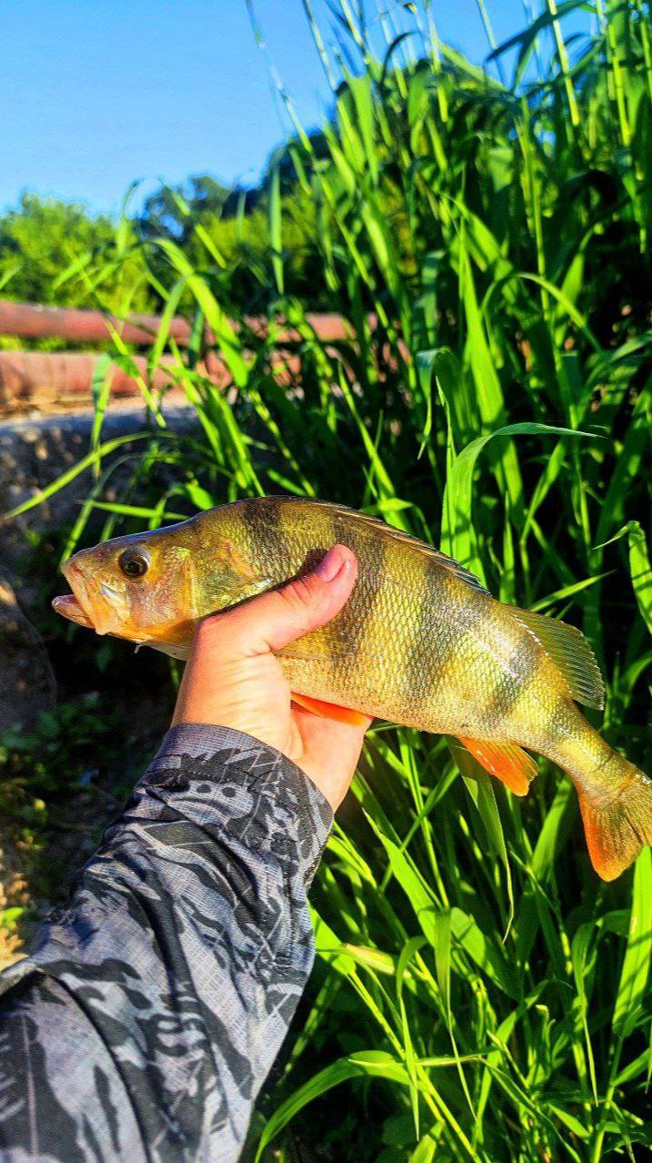 ТАКИЕ РАЗМЕРЫ ПРИЯТНО ТАЩИТЬ!