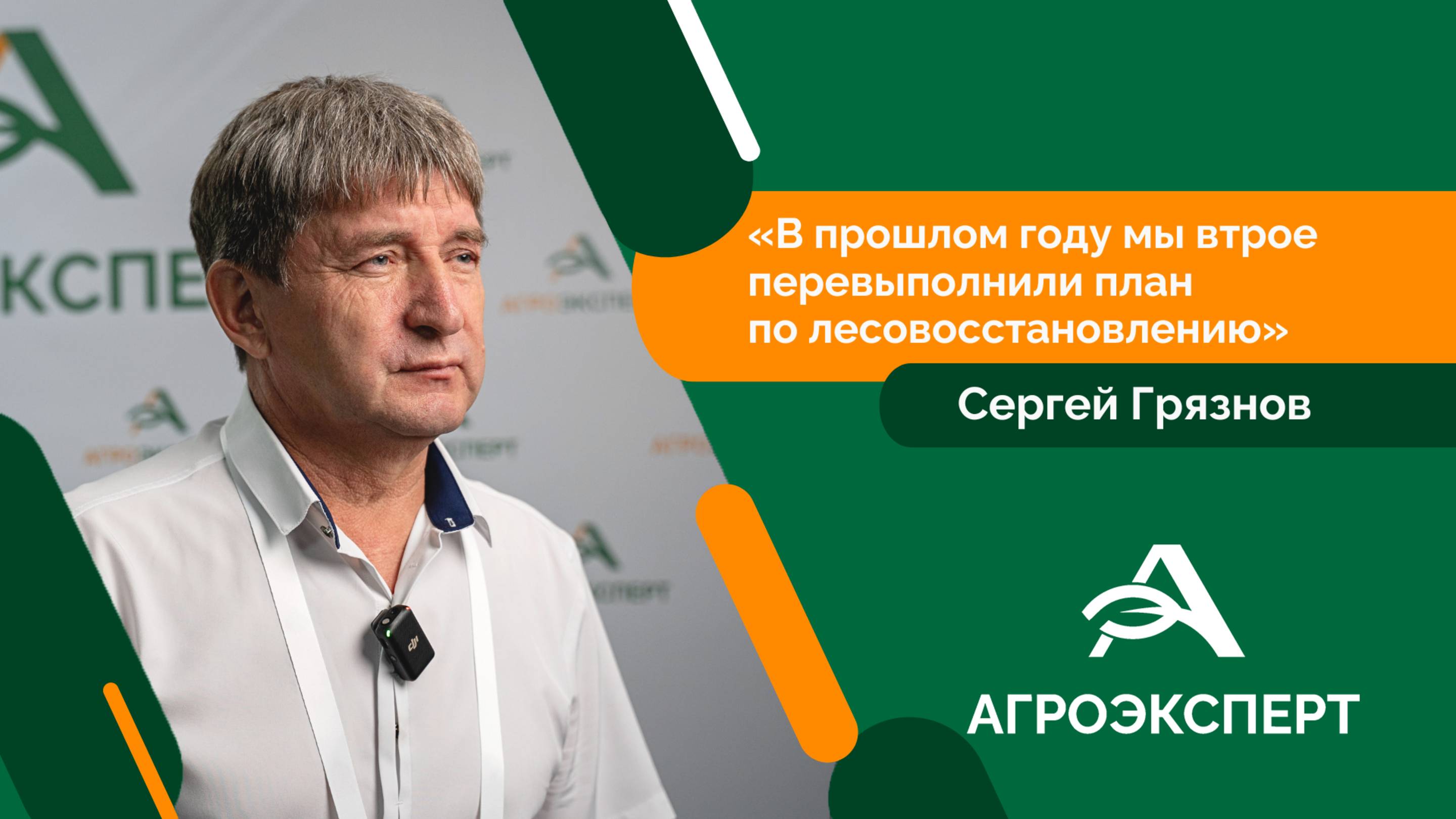 Аренда участков — эффективный способ лесопользования