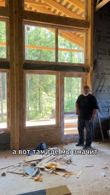 Дикая природа на участке. Зверинец за окном #каркасник #стройка #каркасныйдом #дача #природа