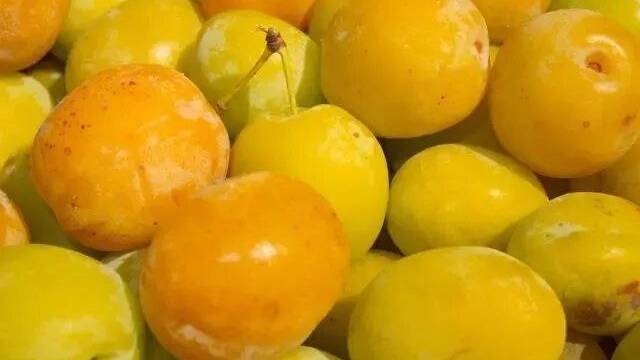 Варенье и компот из алычи на зиму. Вкусно и просто.