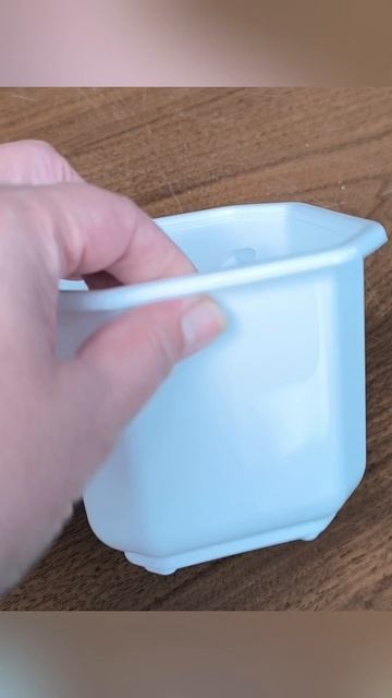 Тот самый идеальный горшок для хой.